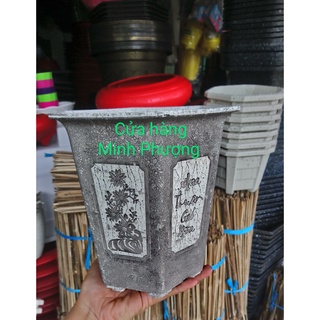 Chậu nhựa bonsai LG cao xi măng 170 x 190 (Rộng x cao)
