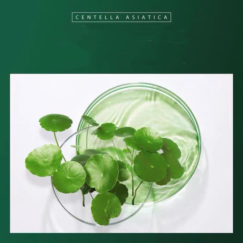 [N71]  8 Hũ Mặt Nạ Đất Sét Bùn Rau Má Dưỡng Ẩm Trắng Da Cấp Ẩm Thải Độc Se Khít Lỗ Chân Lông