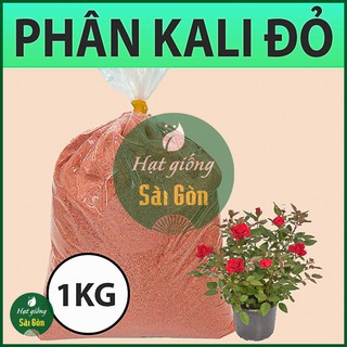 Phân Bón Siêu Kali Giúp Bông To, Lớn Trái 1KG