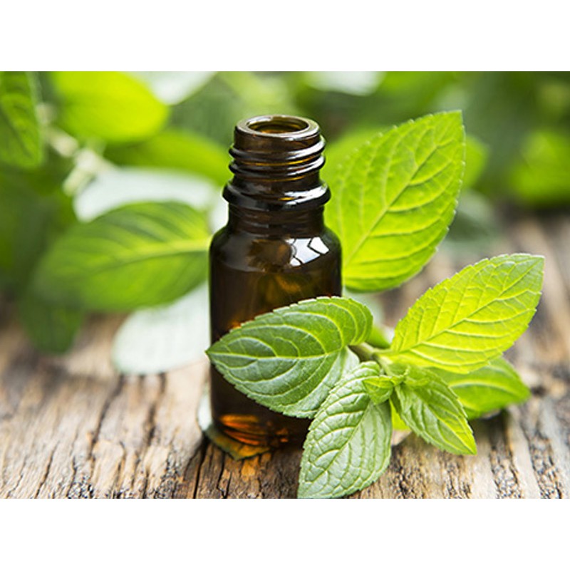 Tinh Dầu Bạc Hà Thiên Nhiên (Peppermint Essential Oil)