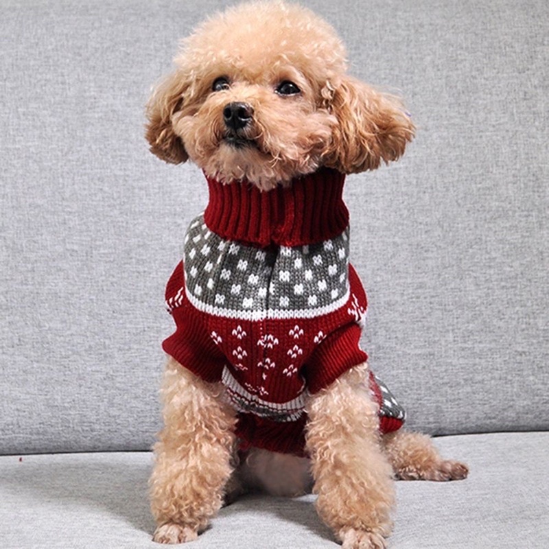 Áo len cổ lọ dệt kim cho thú cưng 🧶 Áo len siêu xinh cho chó mèo