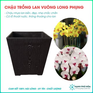Bộ 5 chậu nhựa vuông phong phụng trồng lan 18 x 18 cm