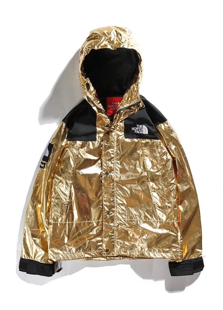 Jacket Supreme x The North Face Metallic Moutain Parka ss18