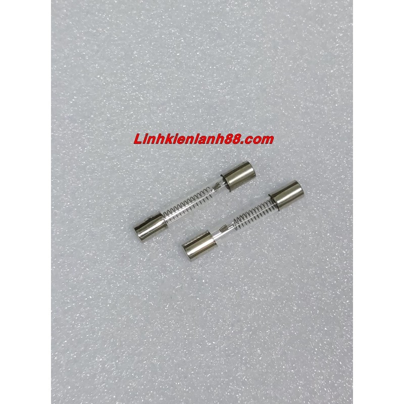 (10 chiếc) Cầu Chì Thủy Tinh Lò Vi Sóng 5Kv 0.9A Chân Gài.