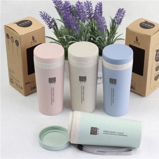 Bình giữ nhiệt lúa mạch DR Srow 300ml