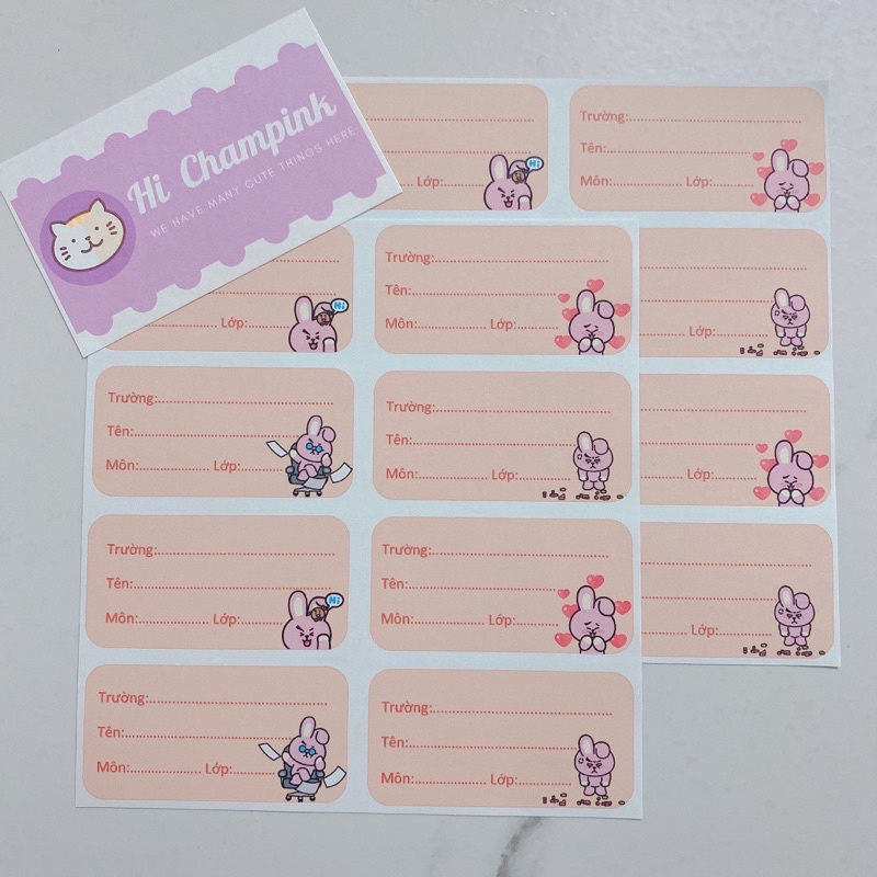 NHÃN VỞ BT21 - BTS DÁN TẬP VỞ SÁCH HỌC SINH 10 miếng