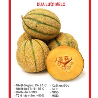 Hạt giống Dưa lưới Melo (dưa lưới sọc ) – 10Hạt