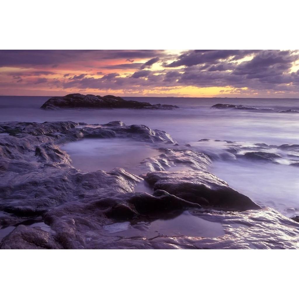 Phim Fujichrome Velvia ISO 50, Màu Color Reversal, 135/35mm x 36 Kiểu, In Date Cho Máy Chụp Ảnh Film - LIIQ Flash