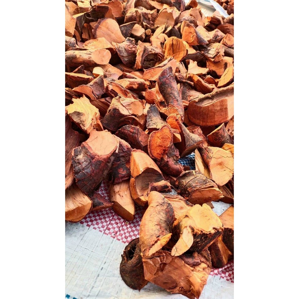 1 Kg Rễ Mú Từn [Hàng Đẹp, Nguyên Rễ] Tốt Cho Sinh Lý Nam Giới