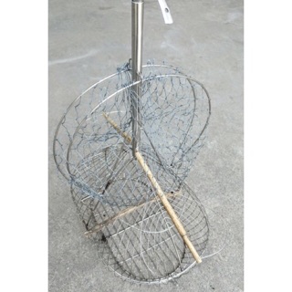 Lồng bẫy chào mào choè inox