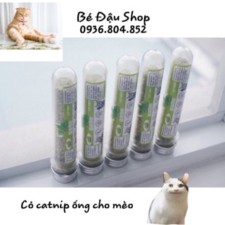 Cỏ bạc hà Catnip ống 20gr cho Mèo
