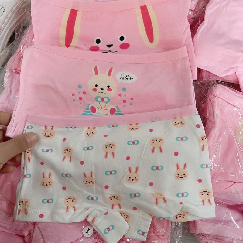 Quần chip đùi bé gái chất cotton mềm mịn cho bé từ 8-28kg❤️Hàng Quảng châu.