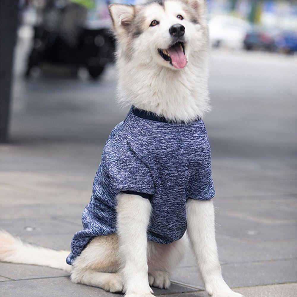 Áo Khoác Len Lông Cừu Màu Sắc Tinh Khiết Dành Cho Chó Labrador Gold Retriever Alaskan