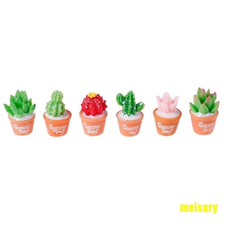 Set 5 Mô Hình Cây Xương Rồng Mini Dễ Thương Dùng Để Trang Trí Tiểu Cảnh Diy