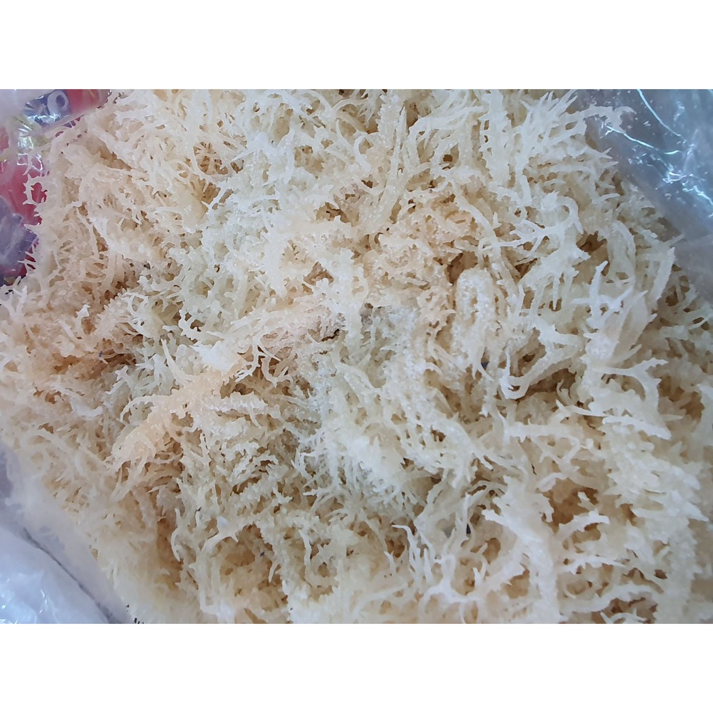 COMBO 2kg RONG SỤN TƯƠI/ RONG SỤN GAI MUỐI - dùng làm gỏi, nấu chè