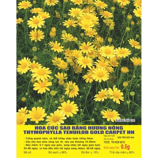 Hạt Hoa CÚC Sao băng - Gói 0,5 gram