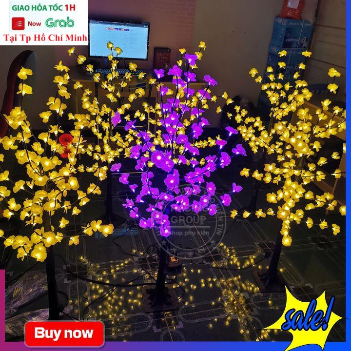 Cây Hoa Mai,Hoa Đào Trang Trí Tết Cực Đẹp Có LED Cao 1m2