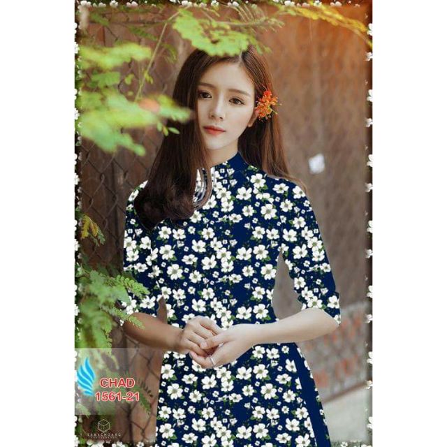 Vải áo dài bộ tằm thái