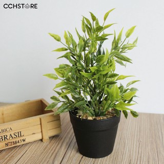 Cây cảnh giả trang trí bàn làm việc nội thất
