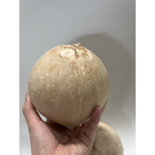 Dừa xiêm trọc trái to size 400-550g