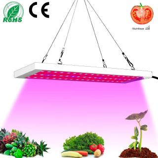 Bộ đèn LED hỗ trợ quang hợp 300W tiện dụng trồng cây trong nhà