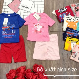 Bộ carter hàng VNXK