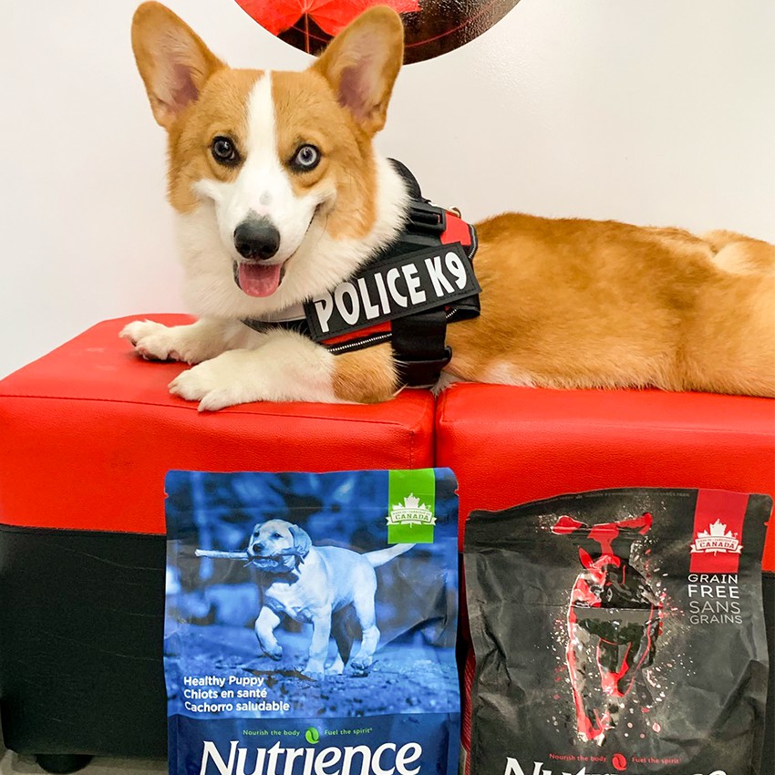 Thức Ăn Hạt Cho Chó Corgi Nutrience Subzero Da Lông Bóng Mượt Bao 5kg - 6 Loại Thịt Cá, Rau Củ, Trái Cây