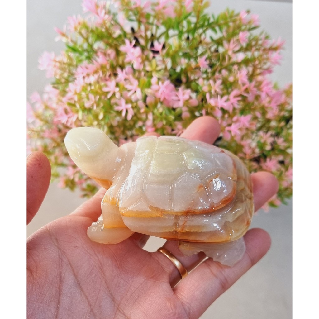 Cụ Rùa ngọc Pakistan bằng đá tự nhiên size 8cm