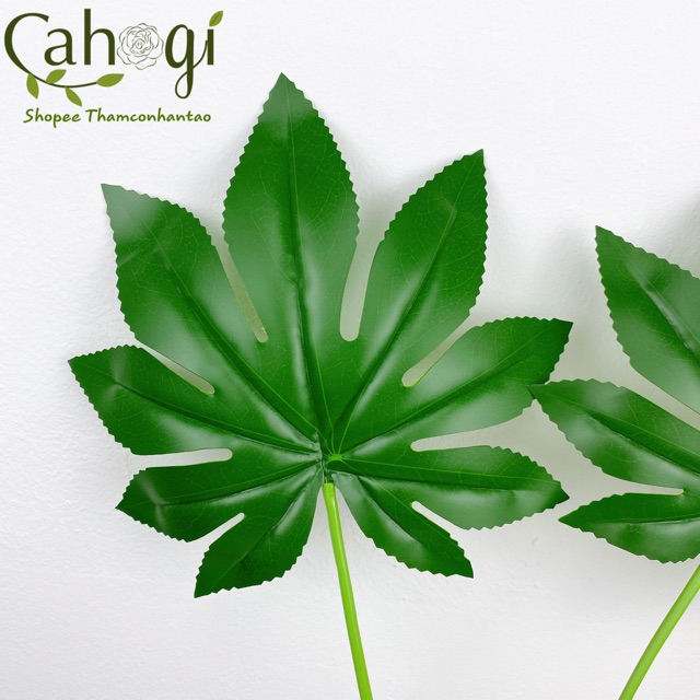 Lá Cây Giả Lá ARALIA DECOR - Đạo Cụ Chụp Ảnh