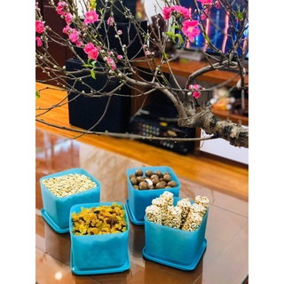 Hộp bảo quản thực phẩm Medium Summer Fresh