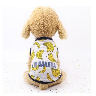Áo banana cho cún