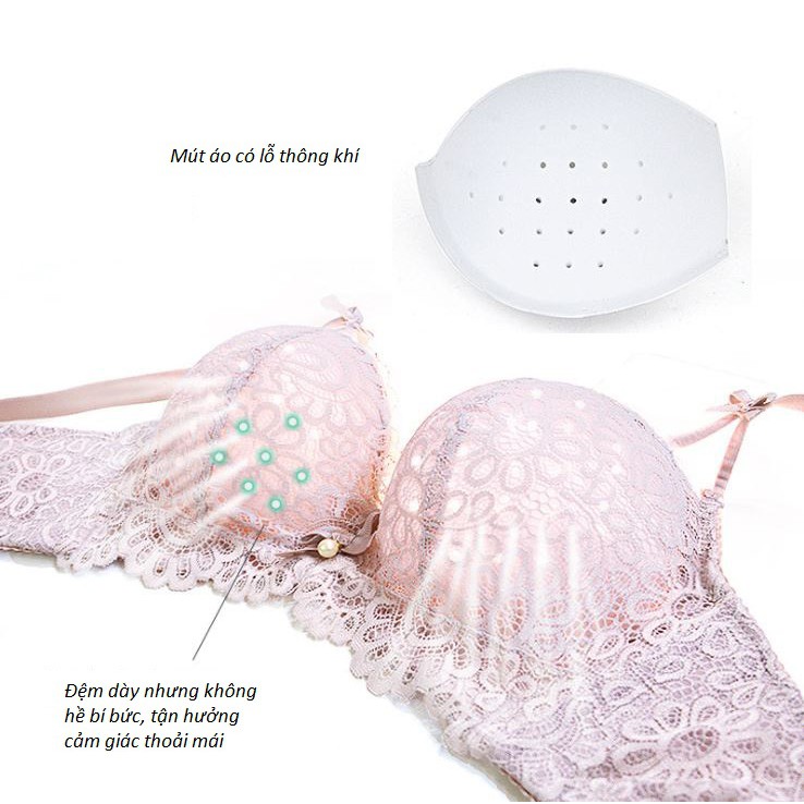 Áo Lót Không Gọng Nâng Ngực Đệm 3cm B383