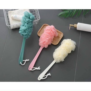 CÂY BÔNG TẮM KỲ LƯNG