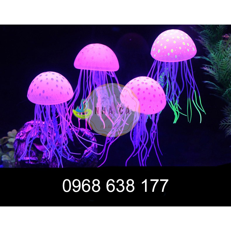 Đồ chơi Sứa Mặt Trăng Dạ Quang Kích Thước Lớn - Trang Trí Hồ Cá - Hồ cá hồ thủy sinh