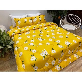 CHĂN PHAO TRẦN BÔNG ẤM ( Chát để gửi mẫu lấy hoặc xem thêm mẫu )