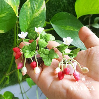 Mô hình chậu dâu 5cm mini tỉ lệ 1/12