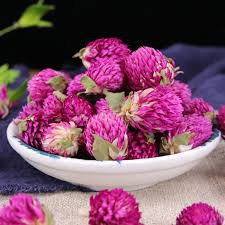 (video+ ảnh thật) CÚC BÁCH NHẬT 100 GRAM