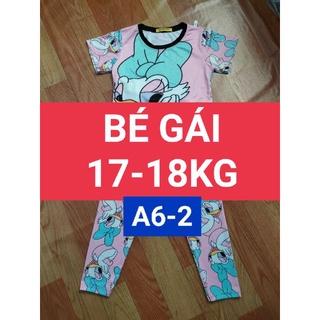 Set bộ bé gái 17-18kg p2