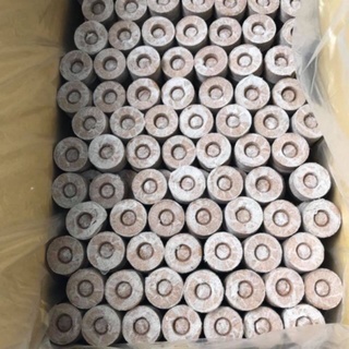 10 viên nén xơ dừa