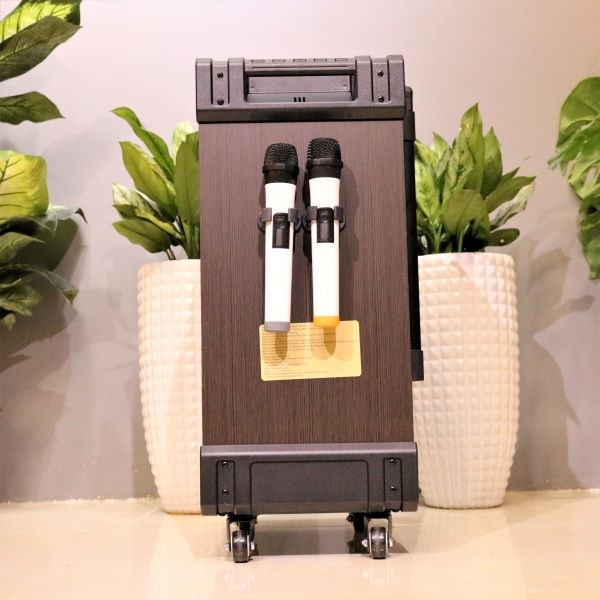 Loa kéo RONAMAX MT 12 - Loa karaoke di động - loa kẹo kéo tặng kèm 2 micro không dây