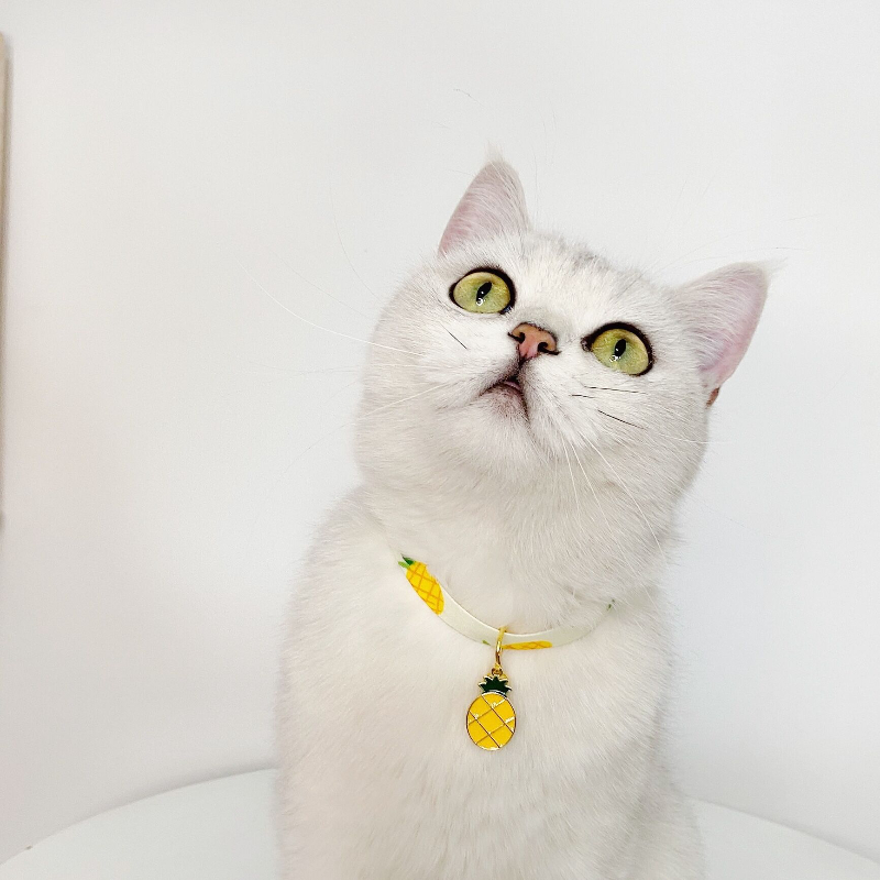 Vòng cổ đính chuông dễ thương cho thú cưng