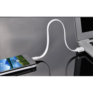 Cáp USB 2.0 ra Micro 0.25cm