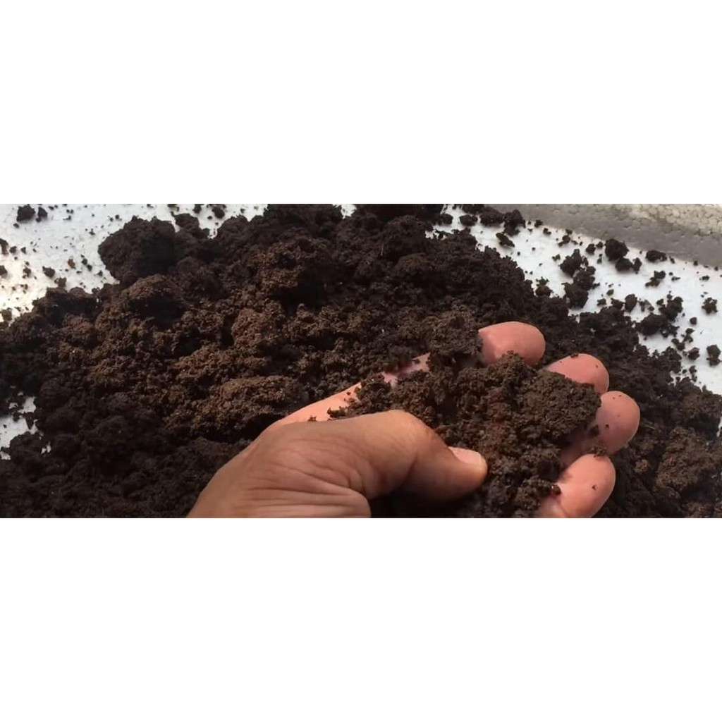 1kg phân trùn quế Sfarm gói lẻ