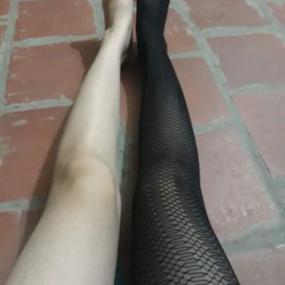 Combo 12 quần tất