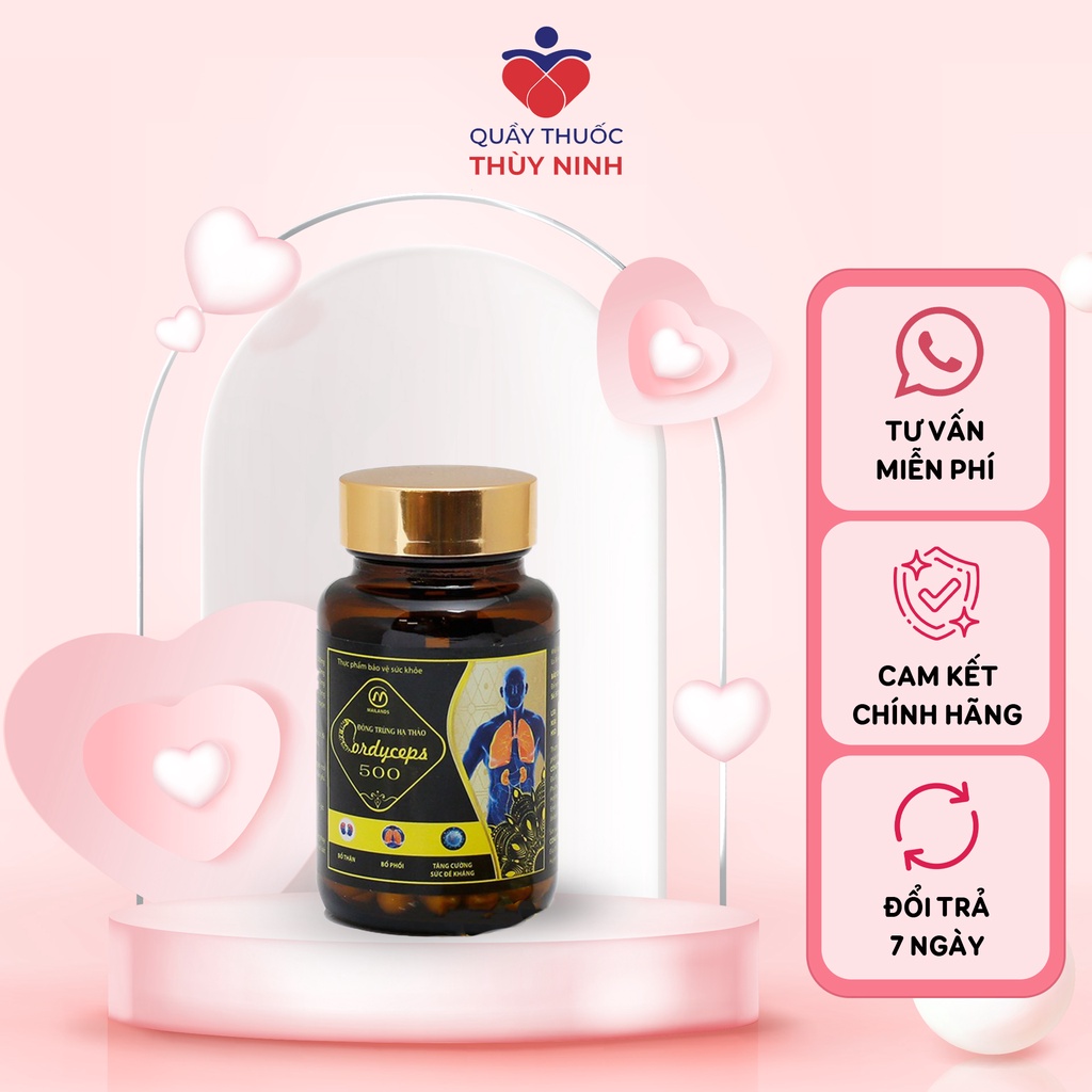 Viên Đông Trùng Hạ Thảo Cordyceps 500 hộp 90 viên