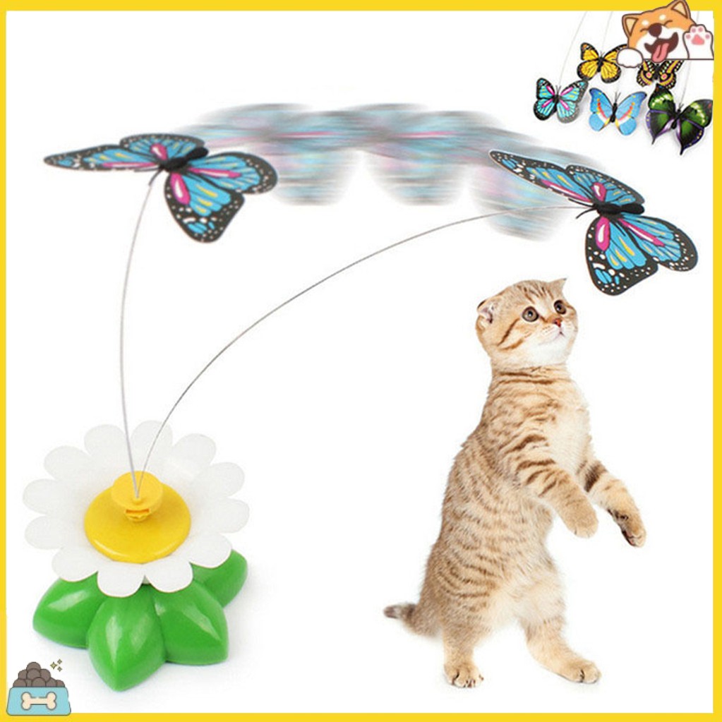 Đồ Chơi Tương Tác Thú Vị Cho Mèo Cưng