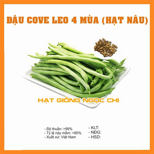 Hạt Giống Đậu Cove Leo 4 Mùa