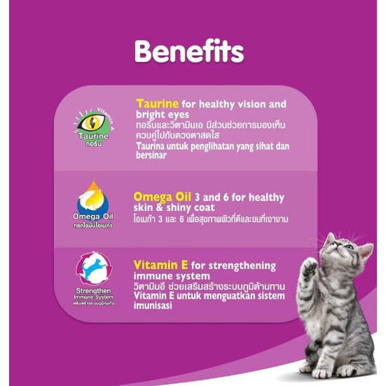 Thức ăn pate cho mèo con Whiskas 80g