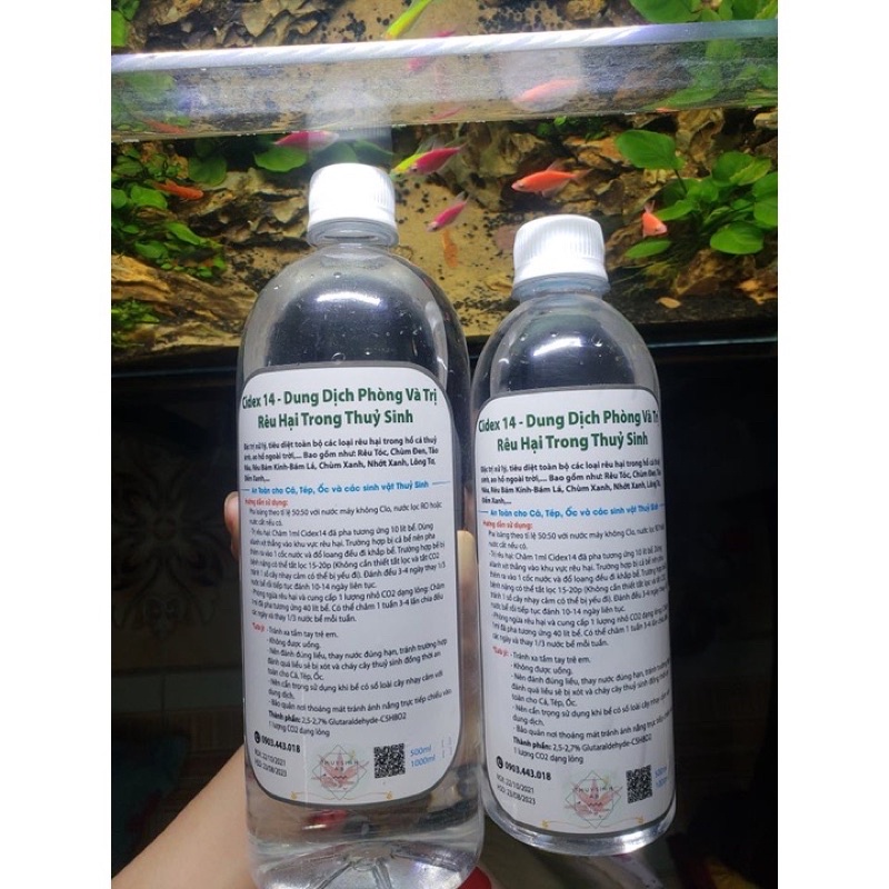 Cidex 14 dung dịch phòng và diệt rêu hại 500ML