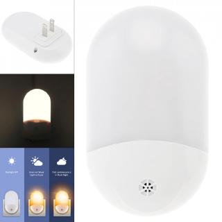 Đèn LED chiếu sáng ban đêm tự động